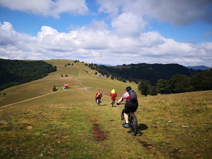 Image de l'article Location VTT Electrique en Alsace en toute liberté